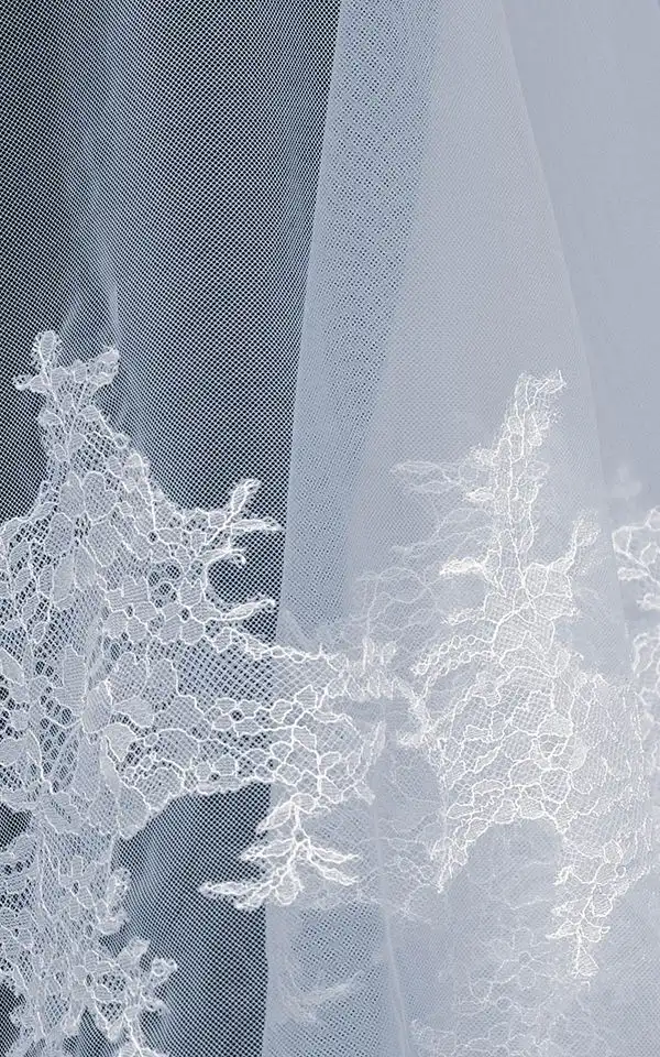 AURE VEIL