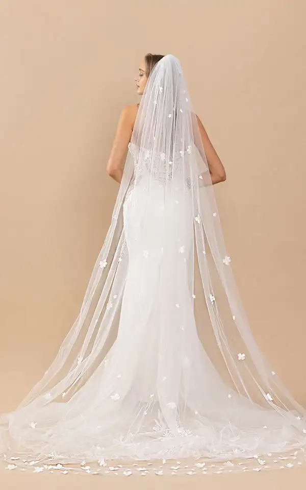 JANIS VEIL