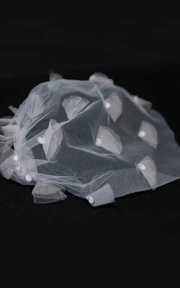DALE VEIL